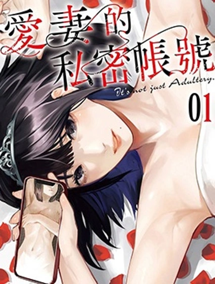 愛妻的私密帳號
