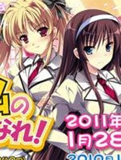 闭嘴 老老实实当我夫婿