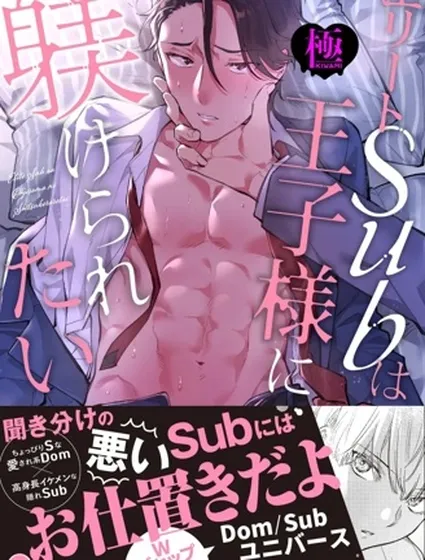 極品Sub想要被王子大人調教【極】