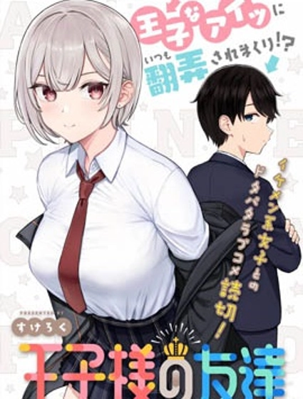 王子大人的朋友