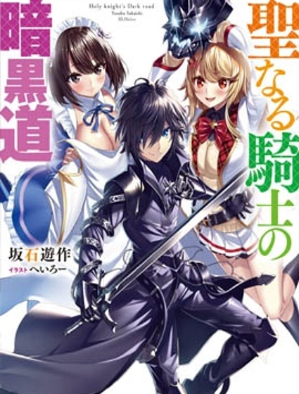 圣骑士的暗黑道