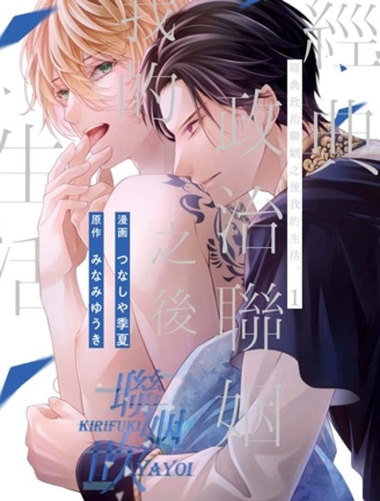 經典政治聯姻之後我的生活