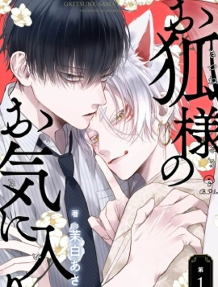 狐仙大人的絕世寵愛