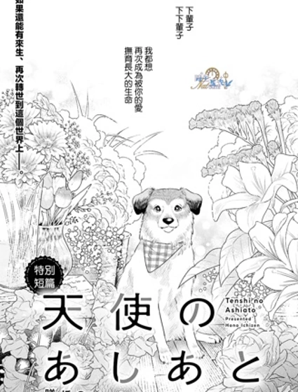 天使的足迹