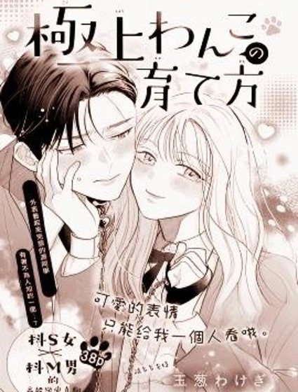 極品小狗的養成方法