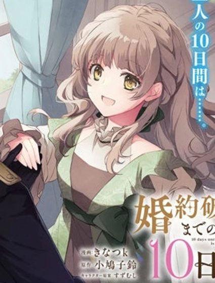 婚約作廢前的十天