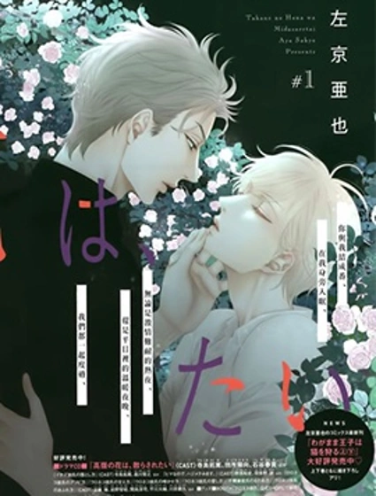 高嶺之花、意亂情迷