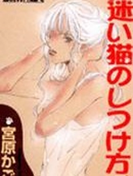 迷路貓咪的飼養方法