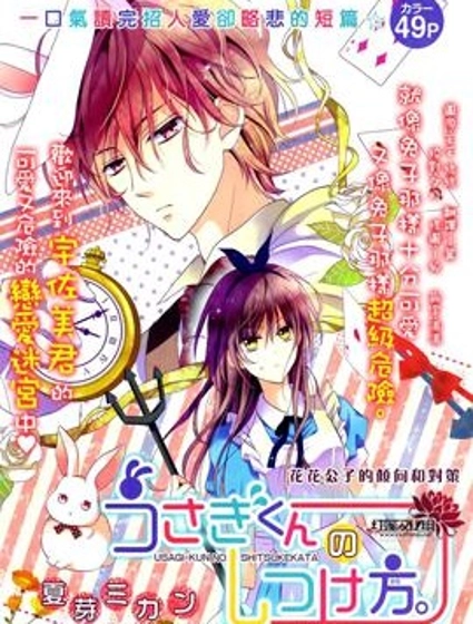 兔子先生的調教方法