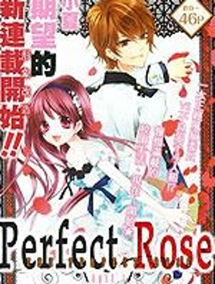完美薔薇
