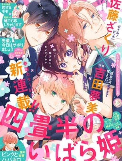 四叠半的睡美人